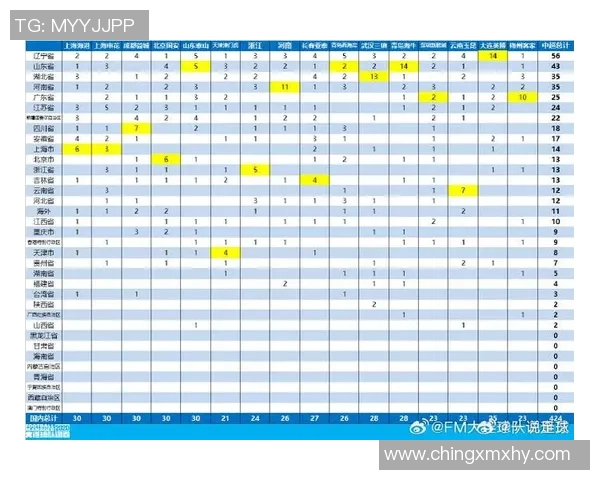 赛后分析：杭州足球队与武汉足球队球员个人能力对比与表现评估