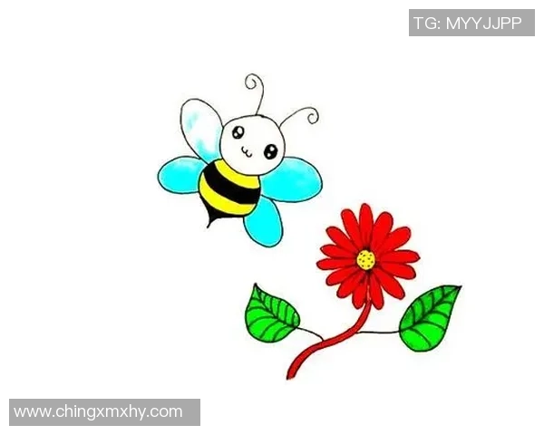 足球明星简笔画全攻略轻松绘制你喜欢的球星形象与风采